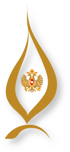 Flame of Peace Logo