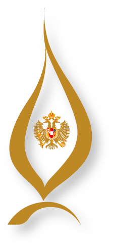 Flame of Peace Logo-224